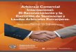 Arbitraje Comercial Internacional: Ejecución de Sentencias ... · PDF filePor último, dos reconocidos expertos del ejercicio privado del arbitraje comercial internacional, aportan
