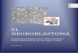 EL NEUROBLASTOMA - premisrecerca.uvic.catpremisrecerca.uvic.cat/sites/default/files/webform/neuroblastoma... · examen neurolÒgic..... 14 examen de catecolamines a l’orina 