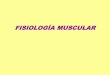 FISIOLOGÍA MUSCULAR - fcn.unp.edu.ar · PDF fileAparato Contráctil del Músculo Liso ... Secuencia de eventos durante la contracción y relajación ETAPAS DE LA CONTRACCION: 1) 