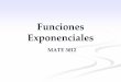 Funciones Exponenciales - Página para apoyar el curso ... · PDF fileTerminología D, llamado el dominio de la función, consiste de todos los valores que puede asumir la variable