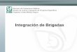 Integración de Brigadas - CVOEDcvoed.imss.gob.mx/.../DPM/capacitacion/2_presentacion_brigadas.pdf · “Grupos de personas capacitadas para ... Coordinador de brigadaCoordinador
