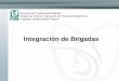 Integración de Brigadas - CVOEDcvoed.imss.gob.mx/COED/home/normativos/DPM/archivos/evacuacion... · •Brigada: “Grupos de personas capacitadas para responder de forma efectiva