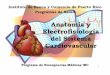 Anatomía y Electrofisiología del Sistema Cardiovascular · PDF fileTaquicardia Sinosal 45 Onda P: Presente y de forma normal Intérvalo PR: < 0.20 seg. Taquicardia Sinosal 46. Frecuencia: