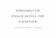 PROJECTE EDUCATIU DE CENTRE - IES Sivera · PDF file11.2. Disseny particular dels programes lingüístics (DPPL) ... El PEC està format per diversos apartats, els quals s’adapten