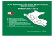 Plan Estratégico Sectorial Multianual del Sector Interior .... Reforma y Modernizacion del Sector... · de las Fuerzas Armadas y policial de la Policía Nacional del Perú con una