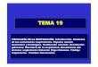 TEMA 19TEMA 19 - ugr.esramirezr/Templates/FISIOLOGIA6.pdf · TEMA 19TEMA 19 FISIOLOGIA DE LA RESPIRACIÓNFISIOLOGIA DE LA RESPIRACIÓN FISIOLOGÍA DE LA RESPIRACIÓN. Introducción
