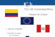 TLC UE-Colombia/Perú - European Commissiontrade.ec.europa.eu/doclib/docs/2013/june/tradoc_151560.pdf · Cambio de partida arancelaria. ... del SPG anteriores a 2011: reglas más