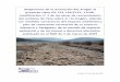 Alegaciones de la Asociación Río Aragón al proyecto clave ...yesano.com/informes/2009_Alegacion_RIOARAGON_BUENA.pdf · zona afectada por el recrecimiento de Yesa y no citadas en