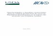Oportunidades y desafíos comerciales para la cadena ... · PDF fileMCCA Mercado Común Centroamericano ... según años, 2002-2015 ..... 35 Tabla 14. YUCA ... crear una situación