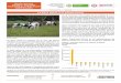 La fiebre aftosa en el ganado bovino - dane.gov.co · PDF fileBoletín mensual INSUMOS Y FACTORES ASOCIADOS A LA PRODUCCIÓN AGROPECUARIA Octubre 2014 • Núm. 28 CONTENIDO pág