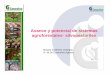 Avance y potencial de sistemas agroforestales- silvopastoriles · PDF fileSistema USO PREDOMINANTE AREA (ha) % Agroforestal Nacional % Nal en pastos o Uso agricola Pastos naturales