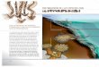 DISTRIBUCIÓN DE LAS ESPECIES CON la · PDF filecomplejas, sustentadas por algas macroscópi-cas, fanerógamas marinas y la fracción de ﬁ to- ... Atlas de biodiversidad de canarias