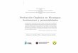 limitaciones y potencialidadesProducción Orgánica en …orgprints.org/2691/1/garibay-2003-National-Evaluation-Nicaragua.pdf · PRODUCCION ORGANICA 3. PRODUCCION. 3. Producción
