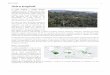 Selva tropical - · PDF fileSelva tropical 3 Diversidad Árbol de la familia Anacardiaceae, abundante en el bosque tropical lluvioso. De todos los biomas, este es el que tiene mayor