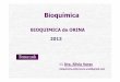 Tema 10 -b-Bioquimica de orina- 2013-iii [Sólo lectura ... · PDF fileLa orina se define como el líquido excretado por los riñones que contiene sales y productos de desecho del