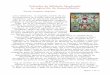 Extractos de Sabiduría Penetrante- La aspiración de ... · PDF fileExtractos de Sabiduría Penetrante: La aspiración de Samantabhadra Ponlop Dzogchen Rinpoche. Cinco Sabidurías