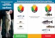 Guía para el Consumo de Un guía para el consumo de · PDF fileGuía para el Consumo de Pescado del ... y niños de 1 a 17 años de edad Medidor de Mercurio Medidor de Mercurio Medidor