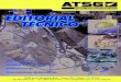 ASTG News. Vol I #7 - ATSG Pagina · PDF file · 2009-04-24... E4OD Y 41TE con fotos de sus correspondientes cuerpos de válvulas y bombas de aceite, en las cuales se puede localizar