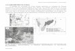 3.4 GEOMORFOLOGIA - geologia.unsl.edu.argeologia.unsl.edu.ar/sitiodeinteres/atlasjk/pdf/7-Geomorfologia.pdf · Atlas de recursos geoambientales – Juana Koslay Geomorfología 