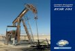 Geología del petróleo Sistemas petrolíferos EOR 101 Handbook.pdfAcerca de los yacimientos Siglas. OOIP: Petróleo Original en Sitio EOR: Recuperación Mejorada de Petróleo. 