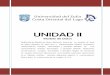 UNIDAD IIunidadcurricularbasededatos.wikispaces.com/file/view/Unidad+II... · Modelo de Datos Definición de ... en el Modelo entidad - relación: definición, objetivo y características