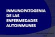 INMUNOPATOGENIA DE LAS ENFERMEDADES · PDF fileglomerulonefritis con HLA-DQ1. •Los niveles de TNFα se correlacionan con el fenotipo DR DR2: bajos ... Targeting the B-Cell Pathway