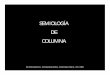 SEMIOLOGÍA DE COLUMNAecaths1.s3.amazonaws.com/spm/1302766906.COLUMN… ·  · 2011-08-30Puntos dolorosos Dolor irradiación Crepitación Mg. Marta Giacomino - Semiopatologia Medica