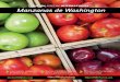 Manzanas de Washington - - El sitio ... · PDF file3 índice Carta del presidente “Nada más que fruta”: Mejores huertos de manzanas brindan mejores mezclas de cultivos para Washington