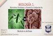 Dominio Archaea Y Dominio Eubacteria