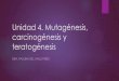 Unidad 4. Mutagénesis, carcinogénesis y teratogénesis · PDF fileUnidad 4. Mutagénesis, carcinogénesis y teratogénesis DRA. PAULINA DEL VALLE PEREZ . Mutagénesis