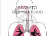 aparato respiratorio-2 2 · PDF filerespiratorio El tabaco y la salud ... manifiestan sobre el corazón, vasos sanguíneos y sistema nervioso