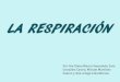 La respiración en animalestutoriatrabajoscmc.wikispaces.com/file/view/La+respiración+(A2).pdf · medio del sistema respiratorio, así mismo suele tener asociado el sistema circulatorio,