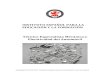 INSTITUTO’ESPAÑOLPARALA · PDF fileEl material del curso consta de Manual teórico “Mecánica y Electricidad del automóvil” ... • El sistema de encendido (sólo motores de