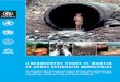 LINEAMIENTOS SOBRE EL MANEJO DE AGUAS …esa.un.org/iys/docs/san_lib_docs/lineamientos_sobre_el_manejo...seguros en términos ambientales para el manejo de aguas residuales ... recuperación