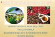 AGROECOLOGIA: DEL DICHO AL HECHO SIN MUCHO …siatma.org/sitios/biblioteca/uploads/Café_con_Aroma_de_M_HERALDO... · La lombricultura es una actividad que ... etapa de crecimiento