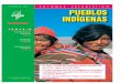 OCTUBRE DE 2008 ENFOQUE ESTADÍSTICO Pueblos …ww2.educarchile.cl/UserFiles/P0001/File/PUEBLOS INDIGENAS.pdf · OCTUBRE DE 2008 ENFOQUE ESTADÍSTICO sumario Panorama por Regiones