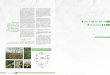 1 eficiencia de los herbicidas en el control de Amaranthus ...horizonteadigital.com/investigacion/ha96/20-26.pdf · de tácticas de control que incluyen a herbi- ... supervivencia