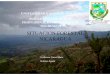 SITUACION FORESTAL NICARAGUA - fao. · PDF fileodisposiciones administrativas para el manejo sostenible de los bosques ... olistado de codigos por departamentos y ... el salvador 16,152,852.58