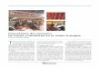 Panorámica del consumo de frutas y hortalizas en la Unión ... · PDF filese comercializan a través de los puertos de llegada y de los ... cios de Grecia. El consumo comunitario