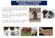 Principales Enfermedades Zoonóticas en el Perú · PDF fileSituación de la rabia silvestre Año 2016 *SE37 ... funciones. Actividades conjuntas con países vecinos de las regiones
