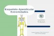 Esqueleto Apendicular Extremidades - tegynst · •Es un pequeño hueso que conforma la articulación de la rodilla. •Se articula con los huesos aledaños mediante ligamentos. 