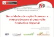 Necesidades de capital humano e Innovación para el ... 3 NECESIDADES DE... · Productivo Regional Mercedes Inés Carazo ... EL DS se publicó a fines de marzo del 2013 y el proceso