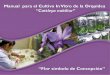 Manual para el cultivo in vitro de la orquídea 'Cattleya nobilior'festivaldelaorquidea.com/docs/ManualOrquideas2011.pdf · Manual para el Cultivo In Vitro de la Orquidea ... Las