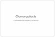 Clonorquiosis - Departamento de Parasitología de los...Géneros: Clonorchis sinensis Distribución Geográfica: Sudeste asiático (China, Japón, Malasia, Corea, Singapur, Taiwán,