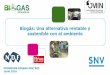 Biogás: Una alternativa rentable y sostenible con el ambienteprogramabiogasnicaragua.org/wp-content/uploads/... · Ecuador Nicaragua Guatemala Honduras ... • Ahorro de fertilizantes