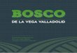 Consejo Nacional Agropecuario Bosco de la Vega Valladolid ... · 4 EL CANDIDATO BOSCO DE LA VEGA VALLADOLID p.06 Contexto macroeconómico mundial La seguridad alimentaria 2.2.1 La