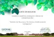 CAMBIO CLIMÁTICO, BOSQUES Y ÁREAS DE … · José Luis Santivañez, M.Sc: Responsable de Manejo y Conservación de Bosques Tropicales y biodiversidad; Gestión de 