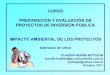 IMPACTO AMBIENTAL DE LOS PROYECTOS - … PREPARACIÓN Y EVALUACIÓN DE PROYECTOS DE INVERSIÓN PÚBLICA IMPACTO AMBIENTAL DE LOS PROYECTOS SANTIAGO DE CHILE CLAUDIA NERINA BOTTEON