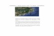 FAROS Y BALIZAS DE LA RED LITORAL - Port Barcelona · Faro del cabo de Creus Cadaqués Nombre: Cabo de Creus Nº nacional: 31730 Nº internacional: E-0486 Coordenadas: 42º 19,0’