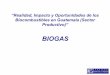 BIOGAS - oas.orgoas.org/dsd/Energy/Documents/SimposioG/3 Panel I Biogas.pdf · Esquema básico de un biodigestor y tipos de biodigestores 4. Experiencia de SMSA: Generación de biogas